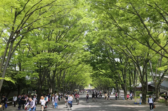 東海大学の雰囲気1