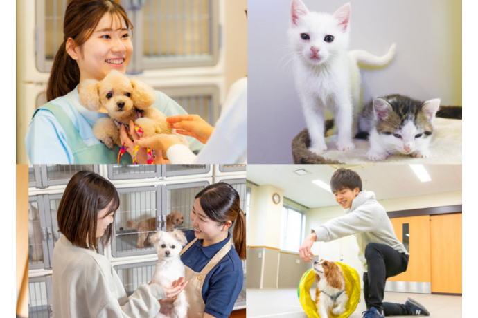 専門学校ルネサンス・ペット・アカデミーの雰囲気3