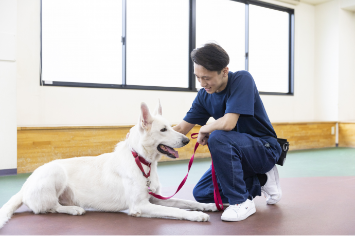 大阪ECO動物海洋専門学校の雰囲気2