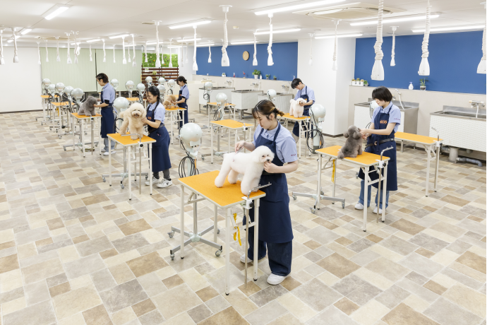 名古屋ECO動物海洋専門学校の雰囲気2
