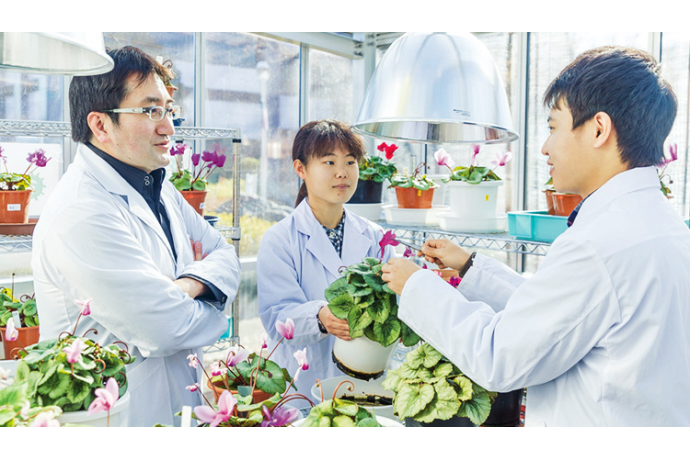 埼玉工業大学の雰囲気2