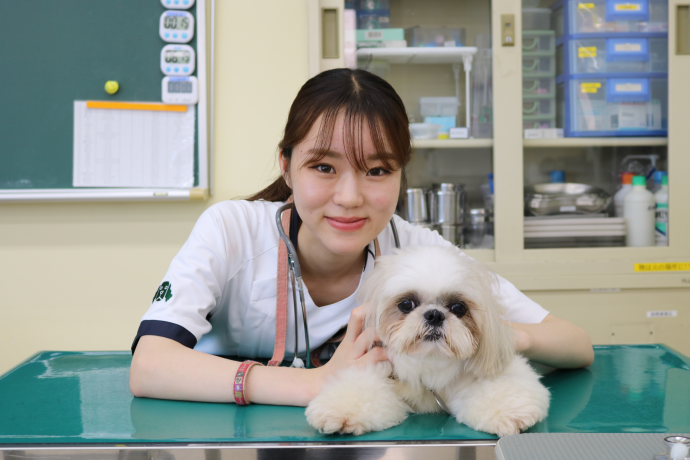 国際動物専門学校の雰囲気1