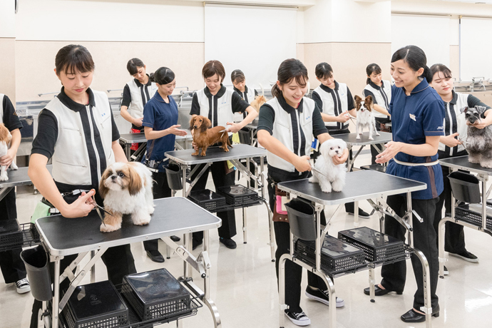 カコトリミングスクールの雰囲気2