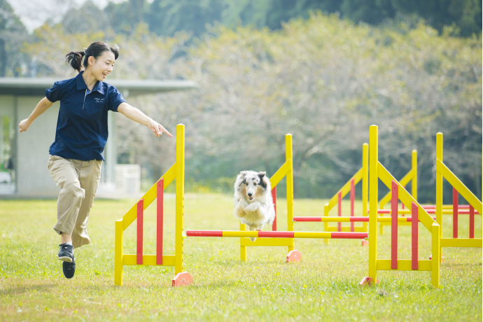 専門学校ちば愛犬動物フラワー学園の雰囲気1