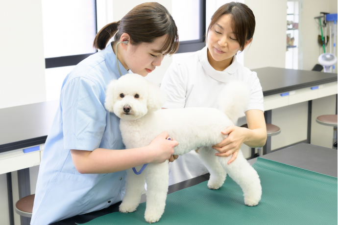 ヤマザキ動物専門学校の雰囲気1