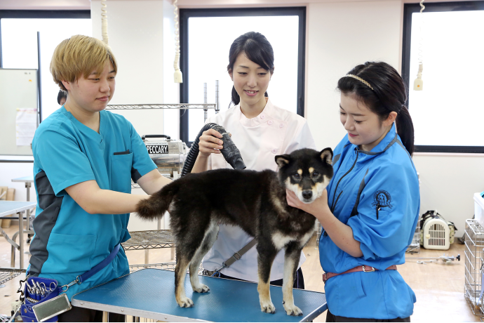 セントラル動物専門学校（［現］セントラルトリミングアカデミー　2026年4月校名変更）の雰囲気2