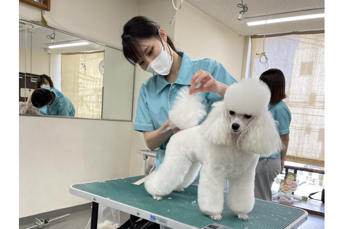 ナンバペット美容学院の雰囲気1