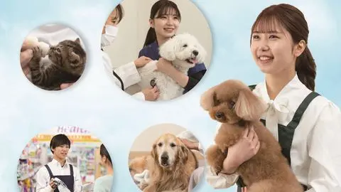 ヤマザキ動物看護専門職短期大学の雰囲気1