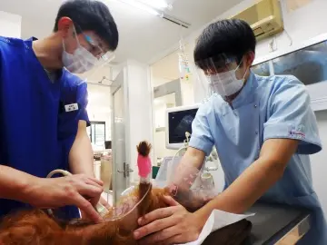 ヤマザキ動物看護専門職短期大学の雰囲気2