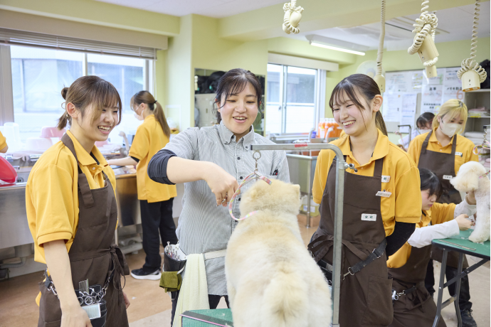 大宮国際動物専門学校の雰囲気3