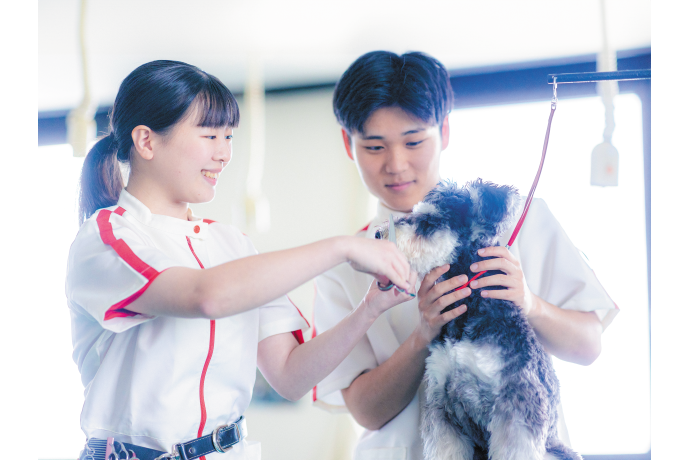 【学校法人立志舎】日本動物専門学校の雰囲気3