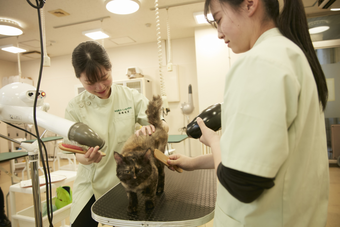 仙台総合ペット専門学校の雰囲気2