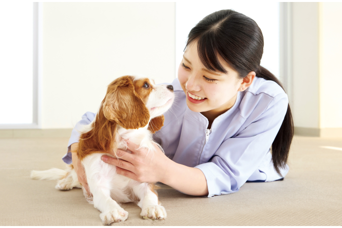 大阪ペピイ動物看護専門学校の雰囲気1