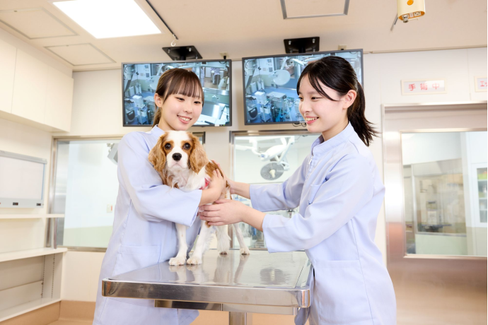 大阪ペピイ動物看護専門学校の雰囲気2