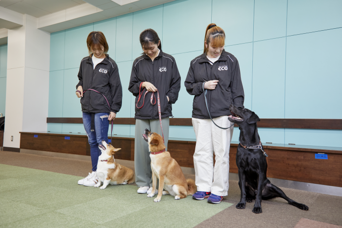 名古屋ECO動物海洋専門学校の雰囲気3