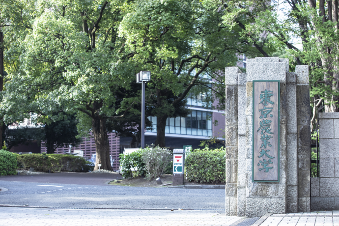 東京農業大学の雰囲気3