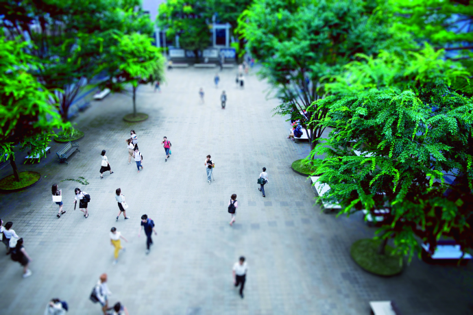 成城大学の雰囲気1