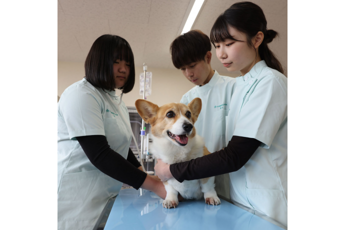 中央動物総合専門学校の雰囲気1