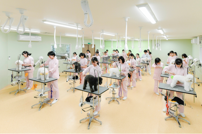 東北動物看護学院の雰囲気2