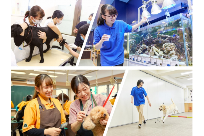 大宮国際動物専門学校の特長・学校概要・就職データ【大学、短大、専門学校の進学・進路は高校生のキモチ。】